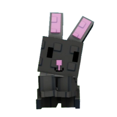 Black Bunny
